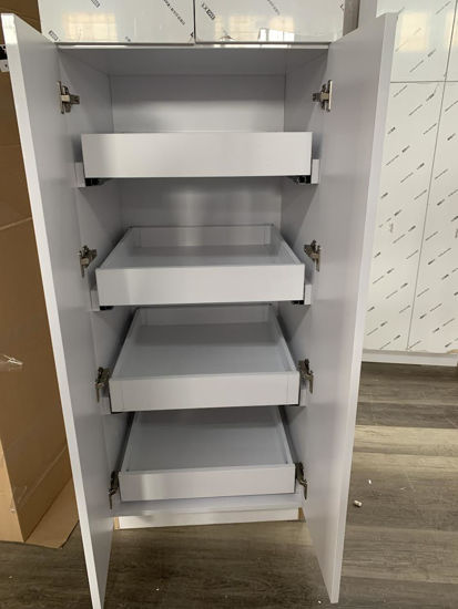 Picture of Pantry with roll out